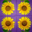 050 Sunflowers - 3-ply (black) - Ihr